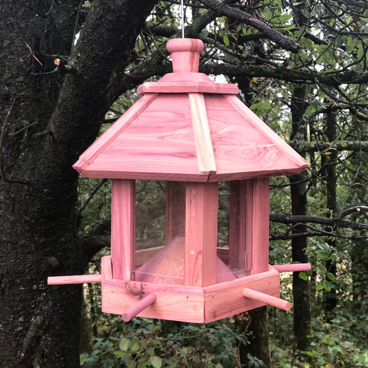 Hanging Bird Feeder Station Brown - OLBRIT