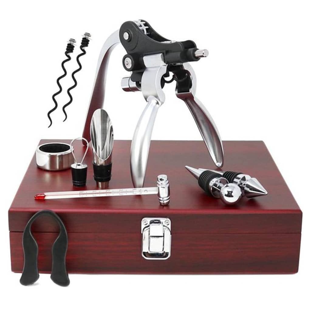 10 Piece Wine Accessory Set with Case - OLBRIT