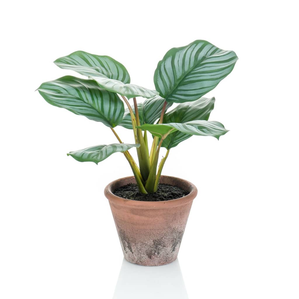 Artificial Calathea Orbifolia Terra 32 cm in Pot - OLBRIT