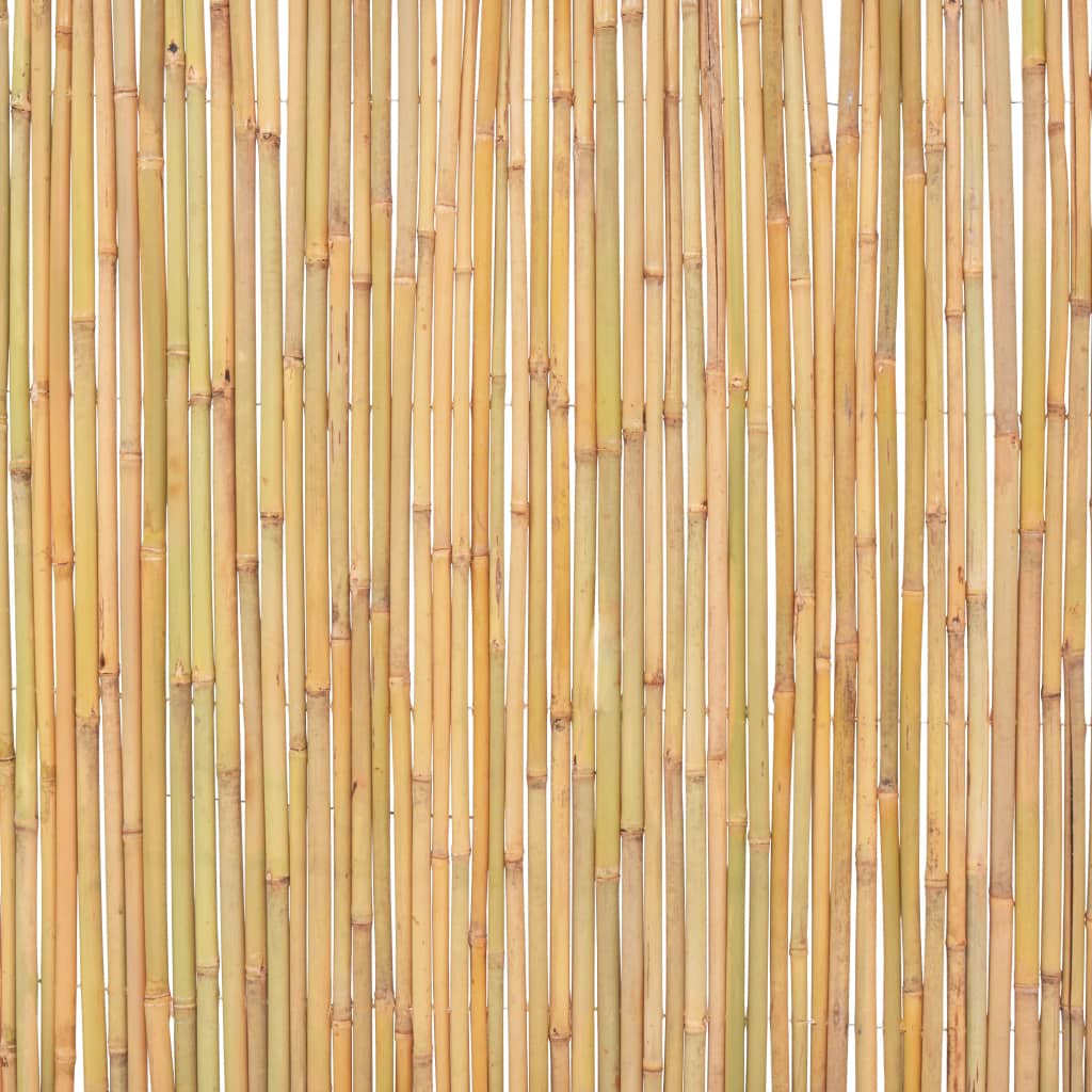 Bamboo Fence 300x100 cm - OLBRIT