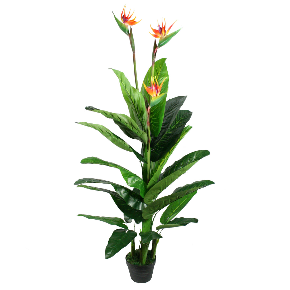 Artificial Bird Of Paradise Potted Plant | OLBRIT