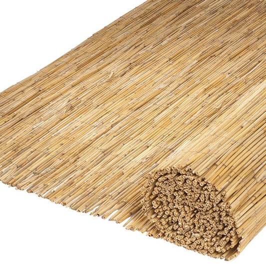 2 pcs Garden Screenings Bamboo Reed 500x100 cm - OLBRIT