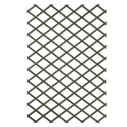 2 pcs Garden Trellises 100x200 cm Wood Green - OLBRIT