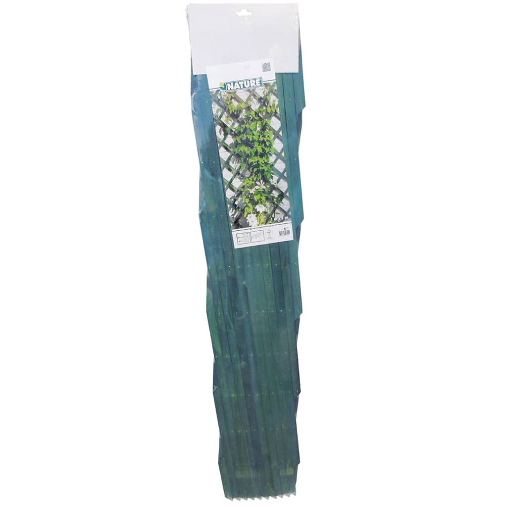 2 pcs Garden Trellises 100x200 cm Wood Green - OLBRIT