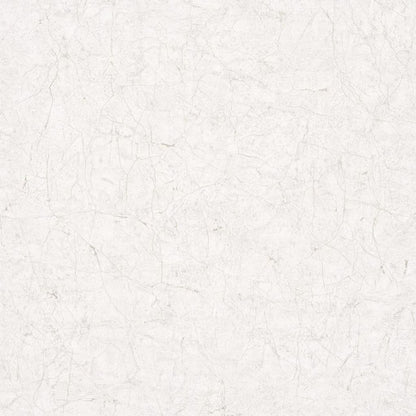 Vintage Deluxe Wallpaper Stucco Crackle Beige and White - OLBRIT