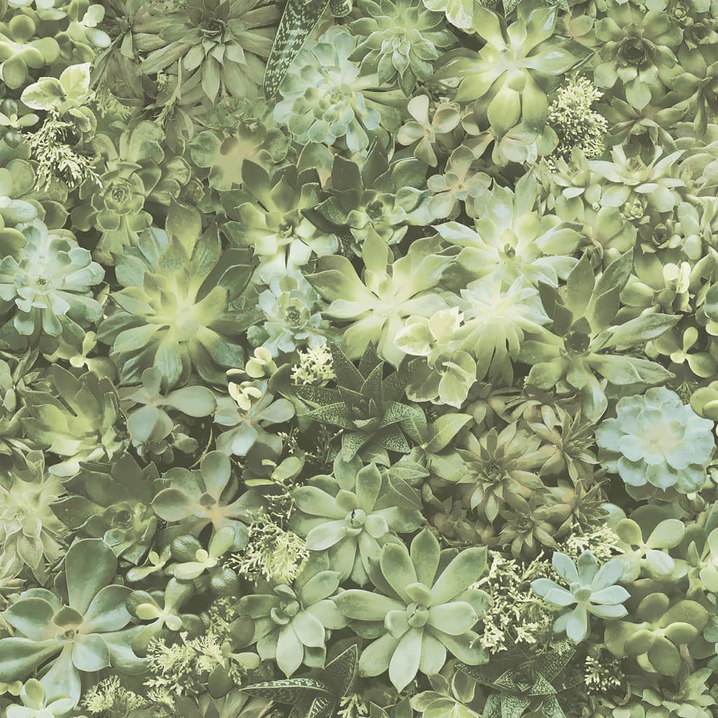 Evergreen Wallpaper Succulent Green and Beige - OLBRIT