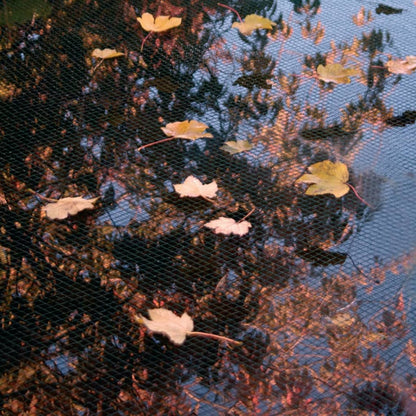 e3ec1a1f2b86a8a420b0ad9092588613