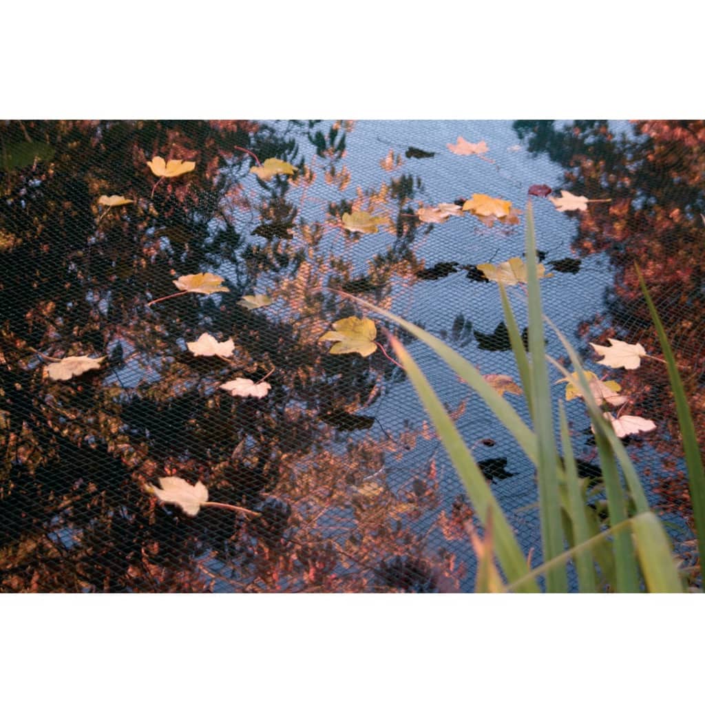 813c94dc8452a14de4aaf6cae3852746