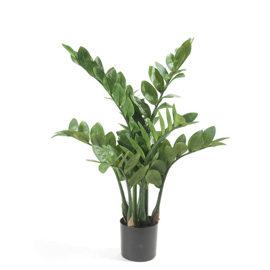 Artificial Zamioculcas 70 cm - OLBRIT