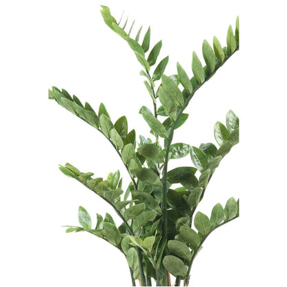 Artificial Zamioculcas Green 110 cm - OLBRIT
