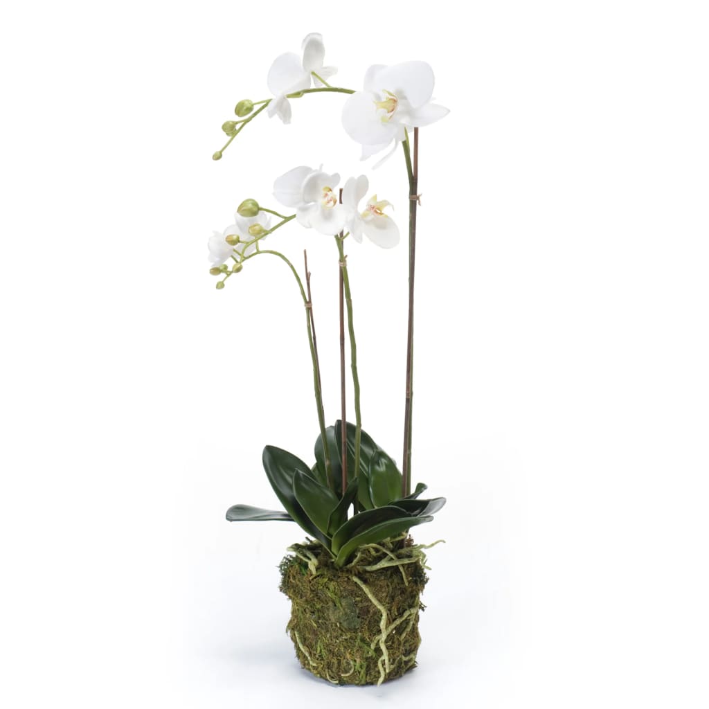 Artificial Phalaenopsis Orchid 70 cm White - OLBRIT