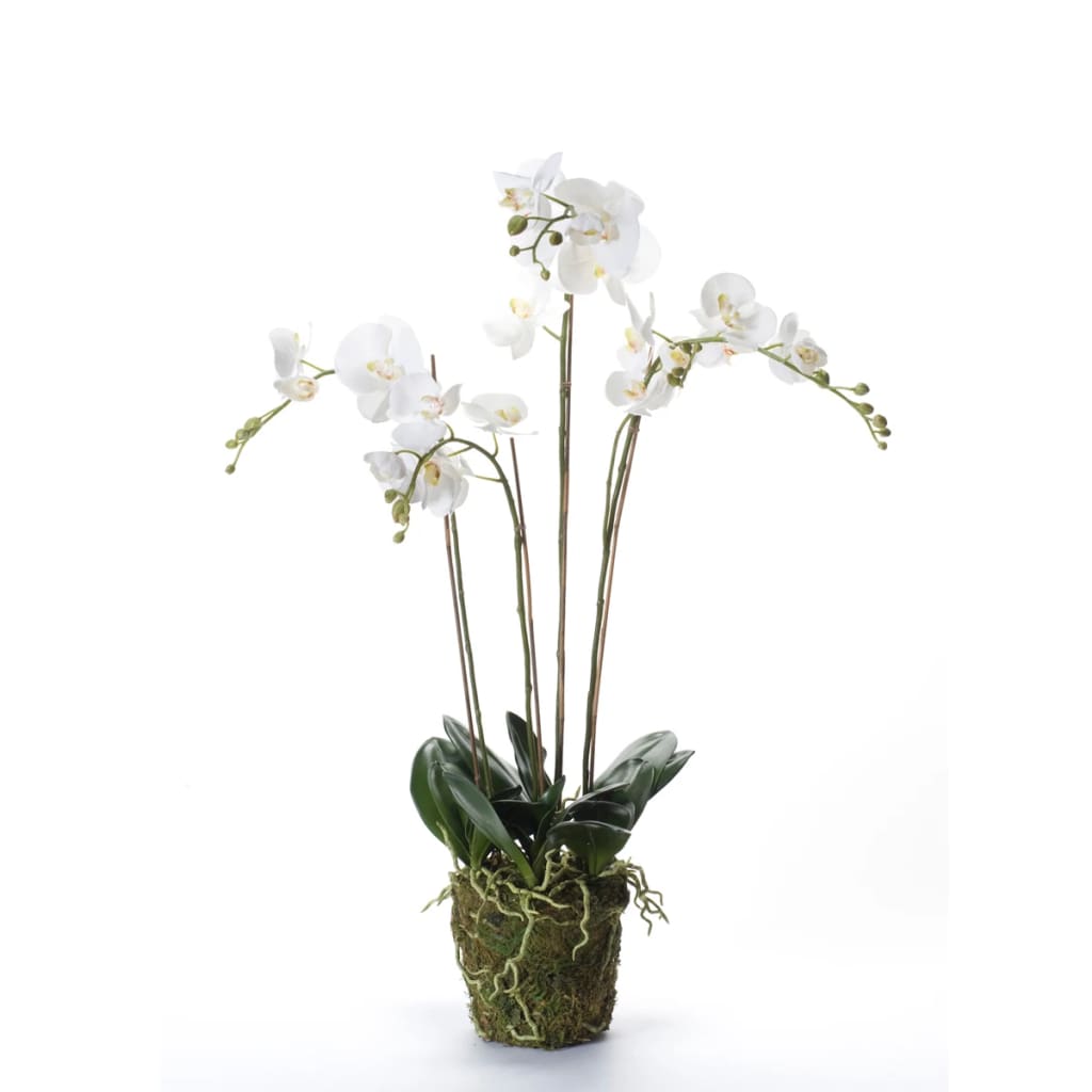Artificial Phalaenopsis with Moss White 90 cm 20.355 - OLBRIT