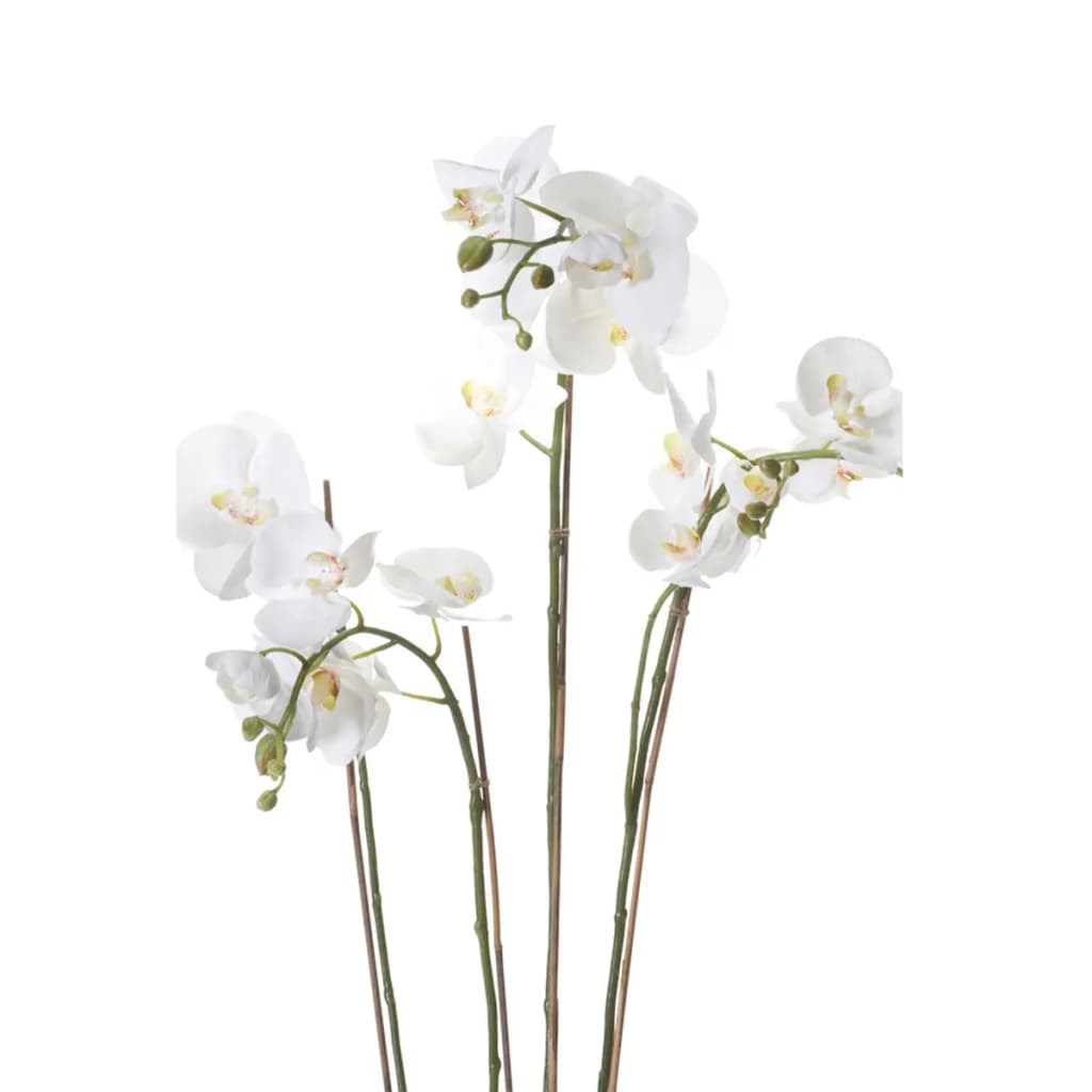 Artificial Phalaenopsis with Moss White 90 cm 20.355 - OLBRIT