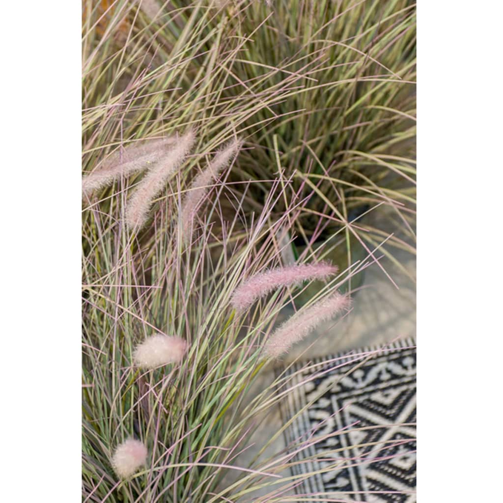 Artificial Pennisetum Green 71 cm - OLBRIT