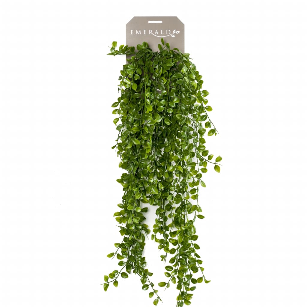 Artificial Ficus Pumila 80 cm - OLBRIT