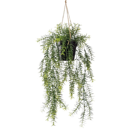 Artificial Asparagus Hanging Bush 50 cm in Pot - OLBRIT