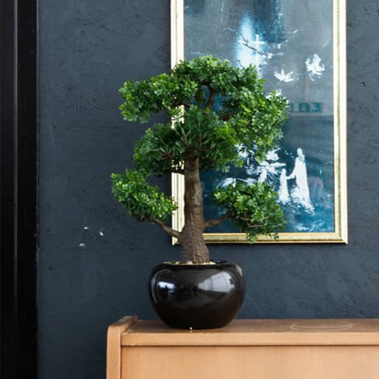 Artificial Ficus Mini Bonsai Green 47 cm - OLBRIT