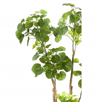 Artificial Polyscias Tree 135 cm 420292 - OLBRIT