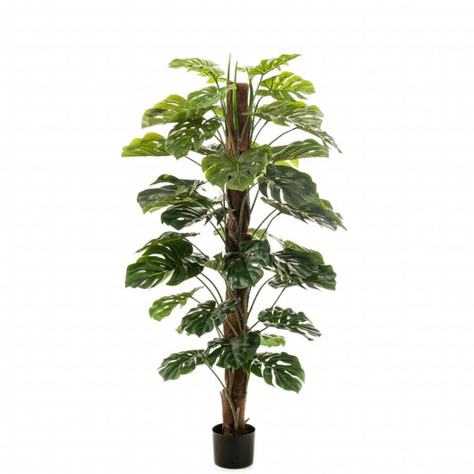 Artificial Monstera on Pole 150 cm - OLBRIT