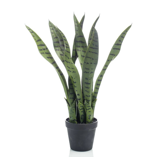 Artificial Sansevieria 55 cm in Pot - OLBRIT