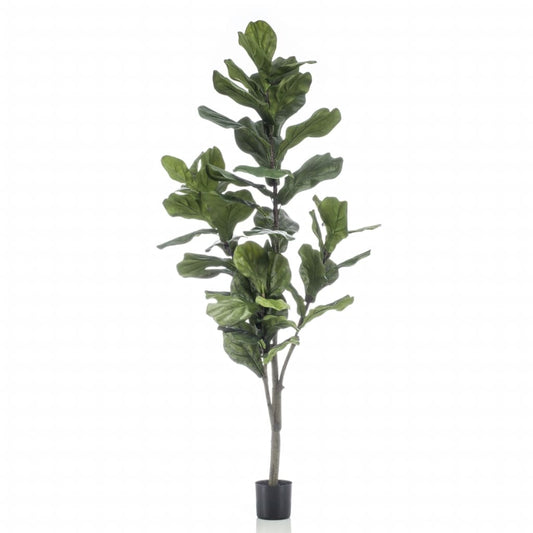 Artificial Ficus Lyrata 160 cm - OLBRIT