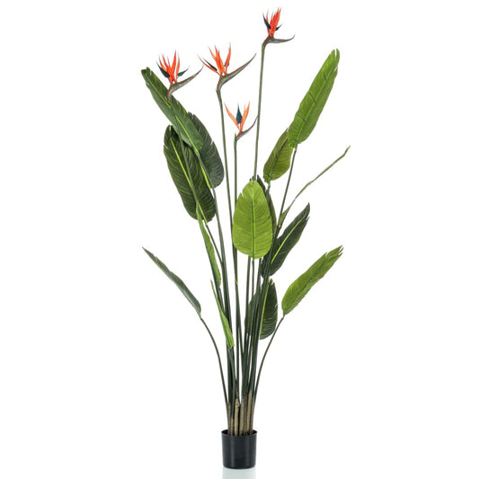 Artificial Bird of Paradise Tree with 4 Flowers in Pot 150 cm - OLBRIT