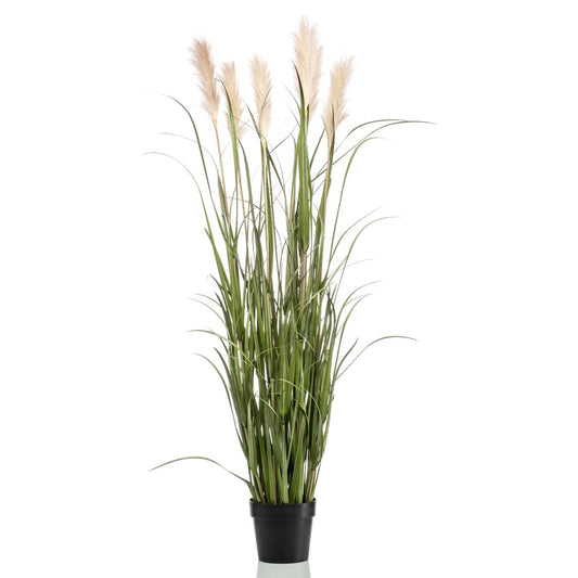 Artificial Pampas Grass in Pot 160 cm - OLBRIT