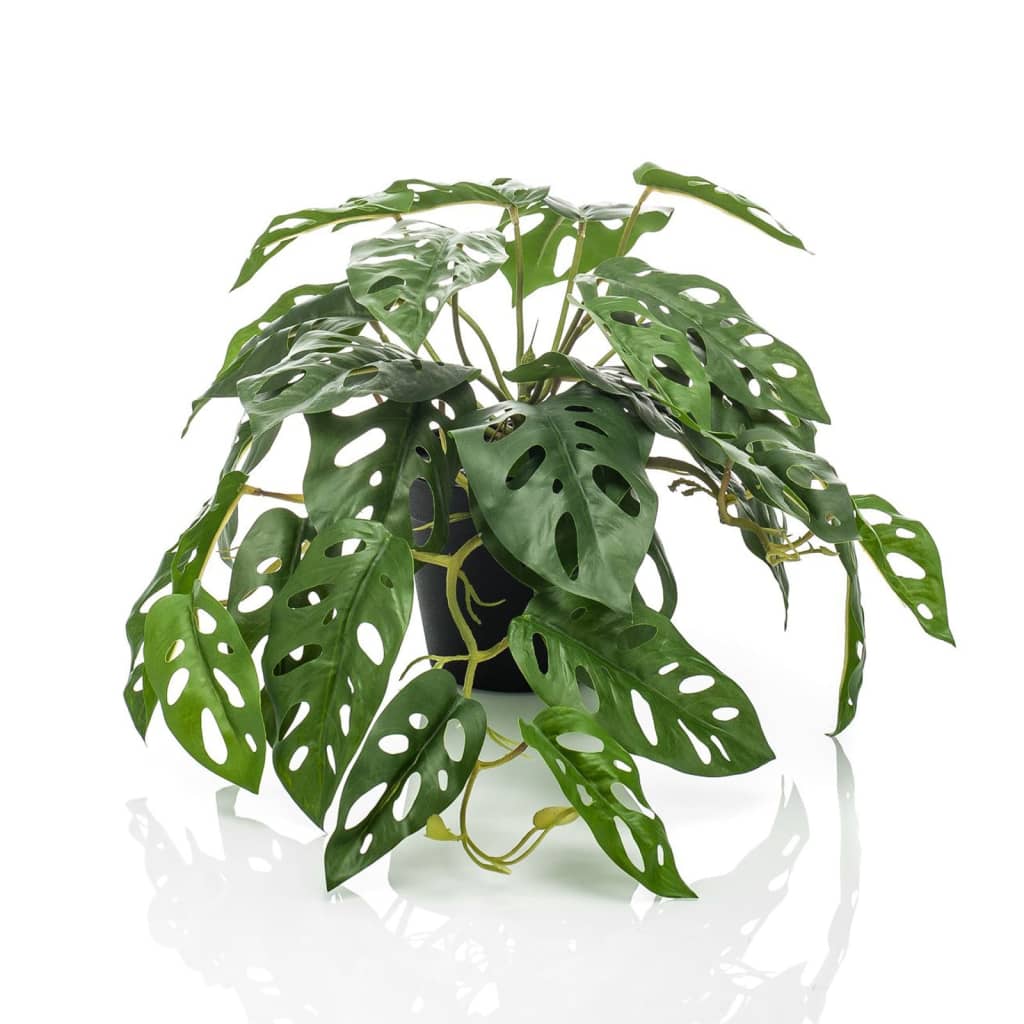 Artificial Monstera Monkey Bush 55 cm in Pot - OLBRIT