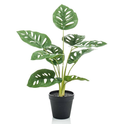 Artificial Monstera Monkey Bush 43 cm in Pot - OLBRIT