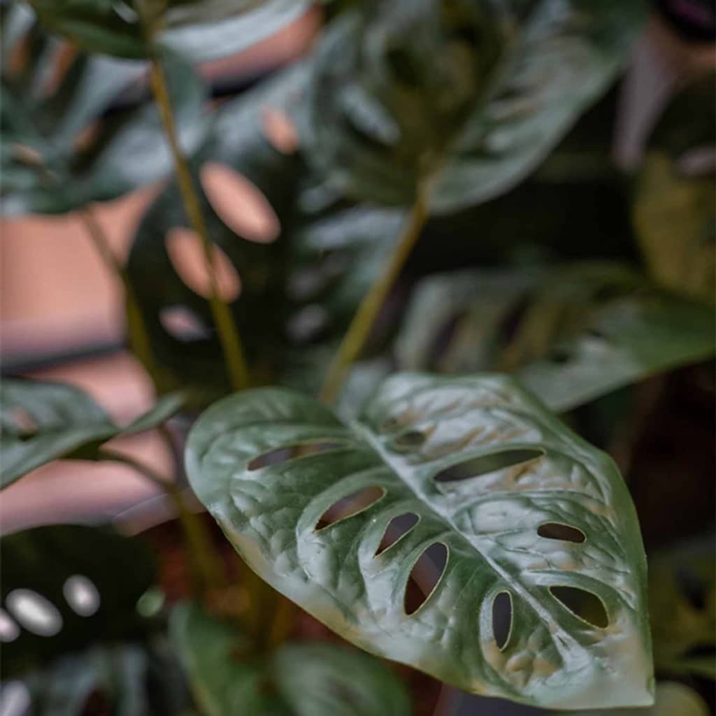 Artificial Monstera Monkey Bush 43 cm in Pot - OLBRIT