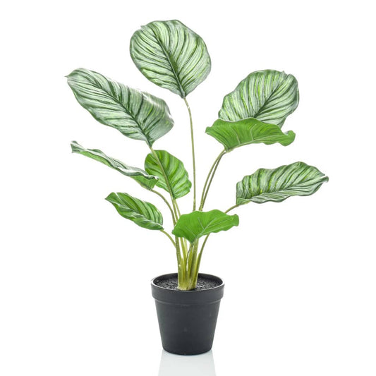 Artificial Calathea Orbifolia 45 cm in Pot - OLBRIT