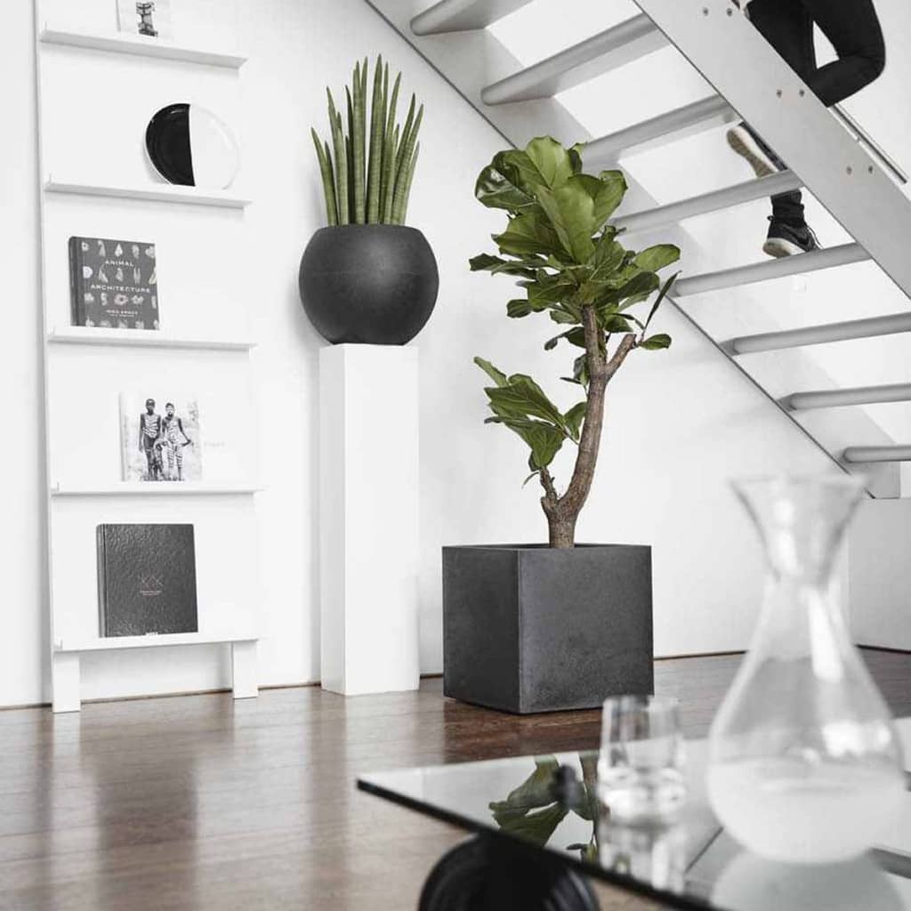 f2b89012ca302b7591af05c755825e21