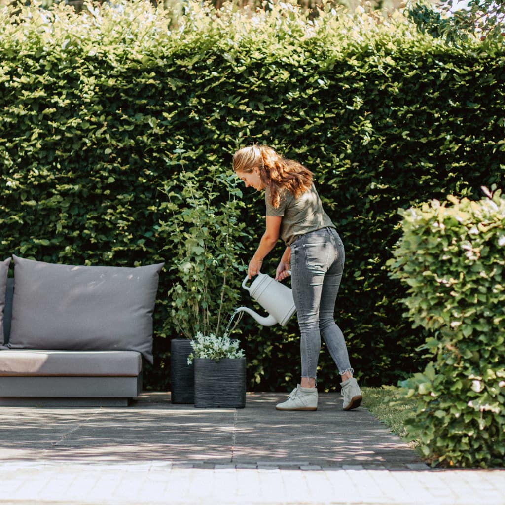 2bed207304bbd50f070db040c2c18b1a