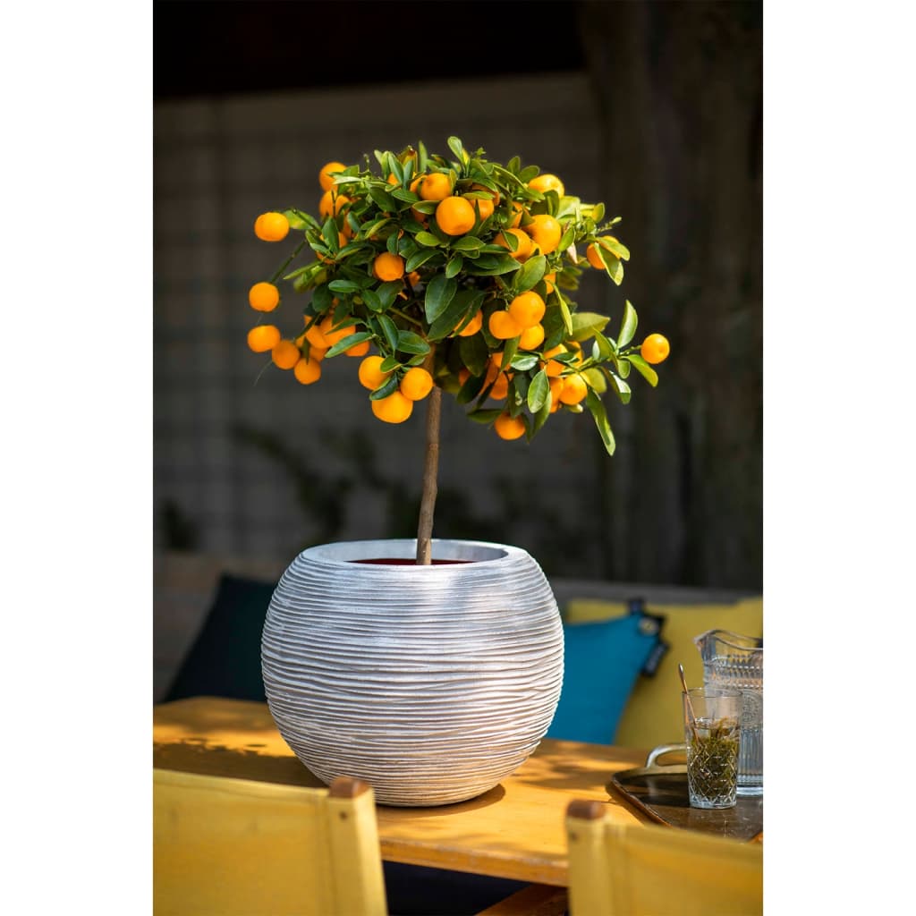 6e1bd29ebf8273baa1ce48f0e17d556d