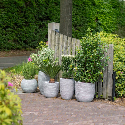 8a873aa5ab0628dc3720911812d0bca2