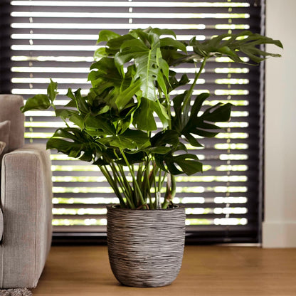 34594e1a699b89c3268ef91688186f52