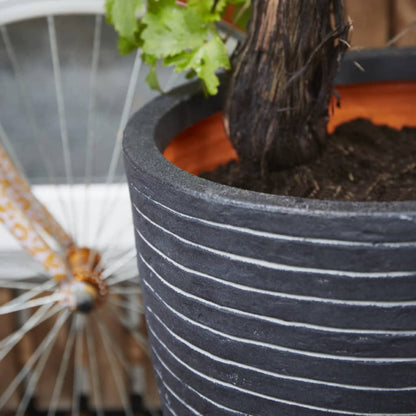 c9537c334dba4639fbb9d8937edb313a