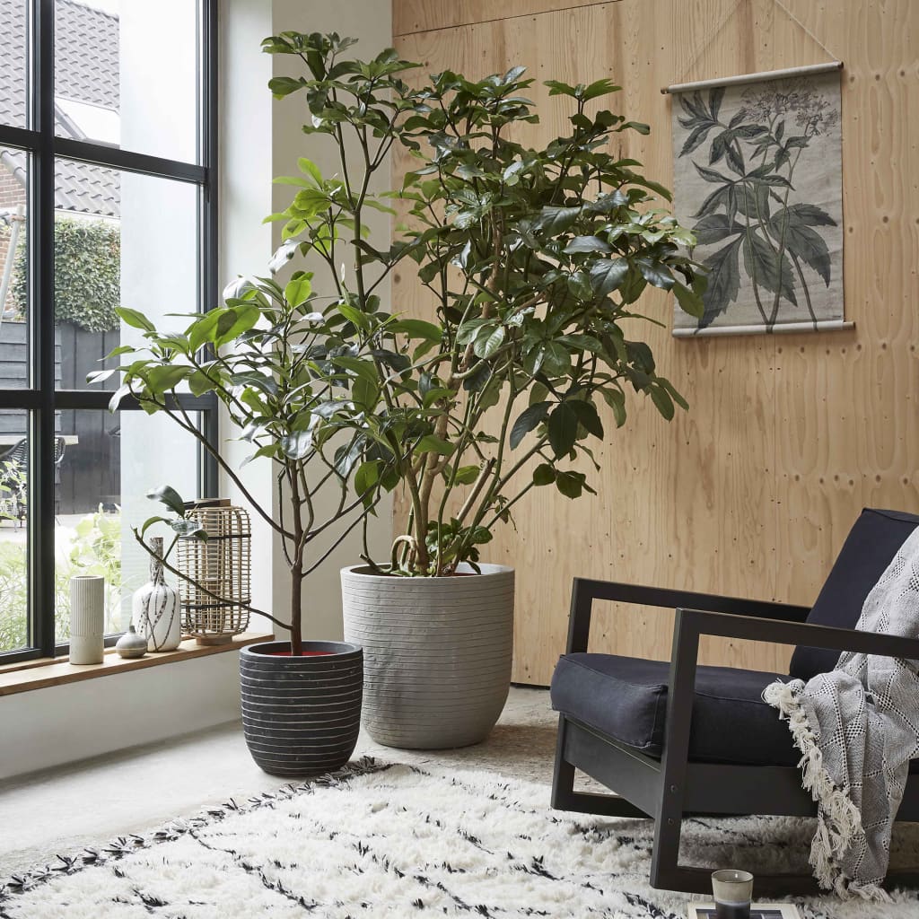 6d6571b92fa1466d072b4c90448cb696