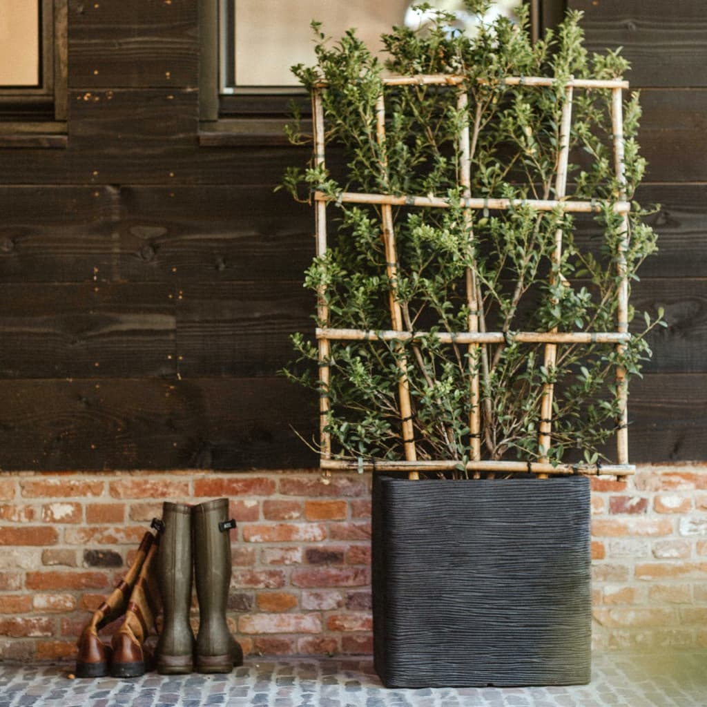 f4ced445610481d26ac4c5cc9751262b