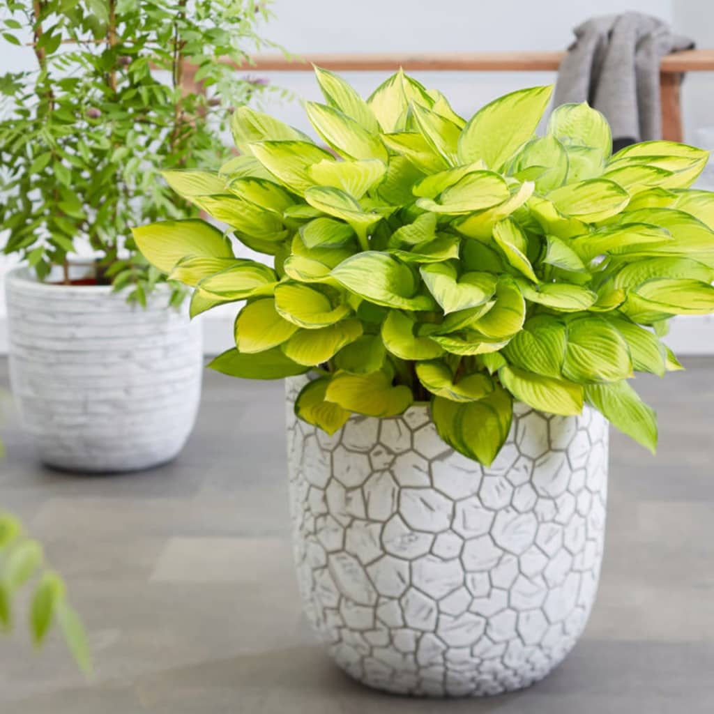 b1a8b7d8c749eeb4e90be5999037c832