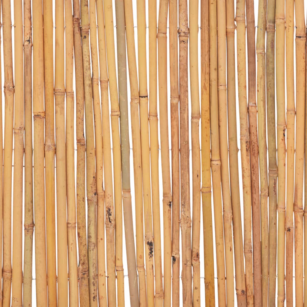 Bamboo Fence 500x50 cm - OLBRIT
