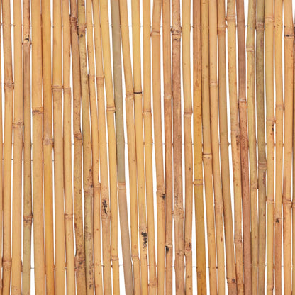 Bamboo Fence 500x50 cm - OLBRIT