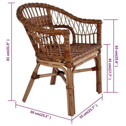 Outdoor Chairs 2 pcs Natural Rattan Brown - OLBRIT