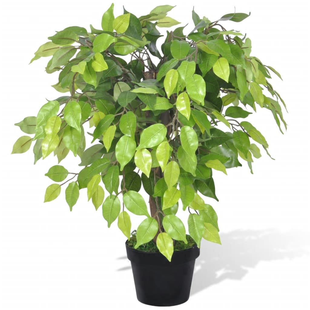Artificial Dwarf Ficus with Pot 60 cm - OLBRIT