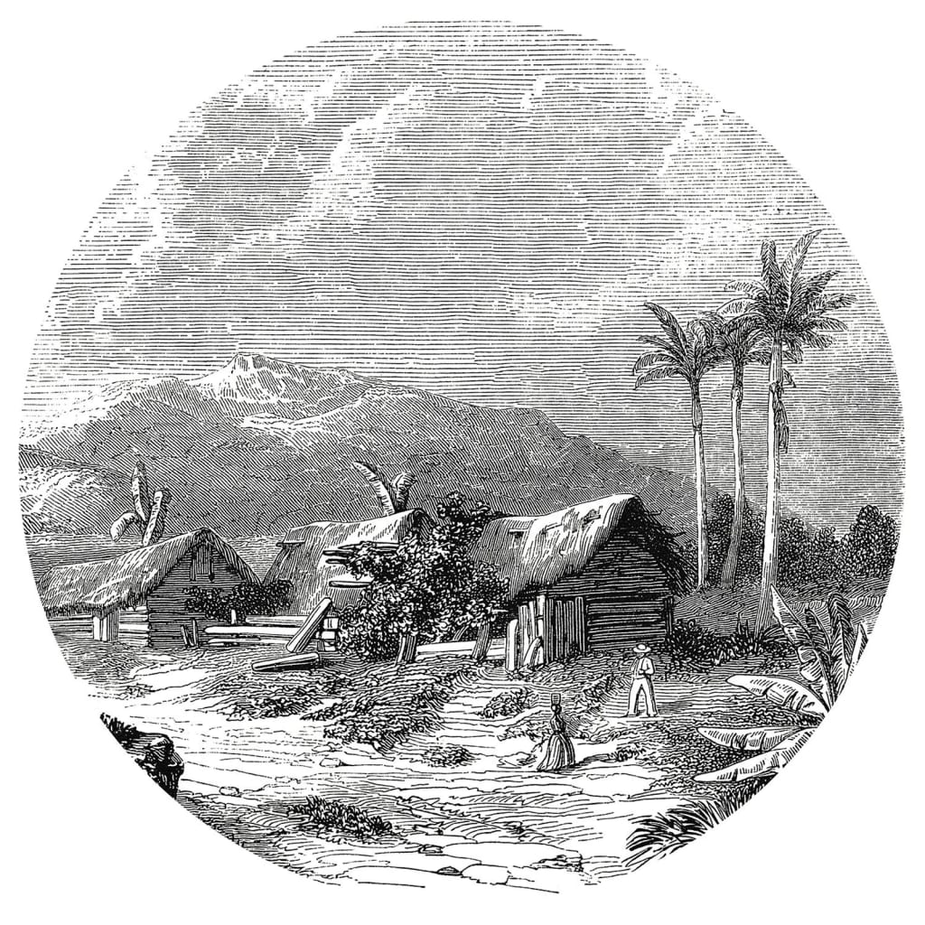 Wallpaper Circle Landscape of Guadeloupe 142.5 cm - OLBRIT