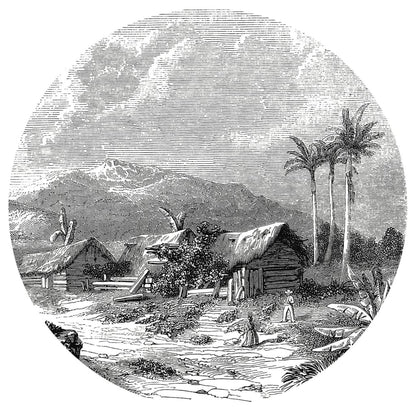 Wallpaper Circle Landscape of Guadeloupe 142.5 cm - OLBRIT