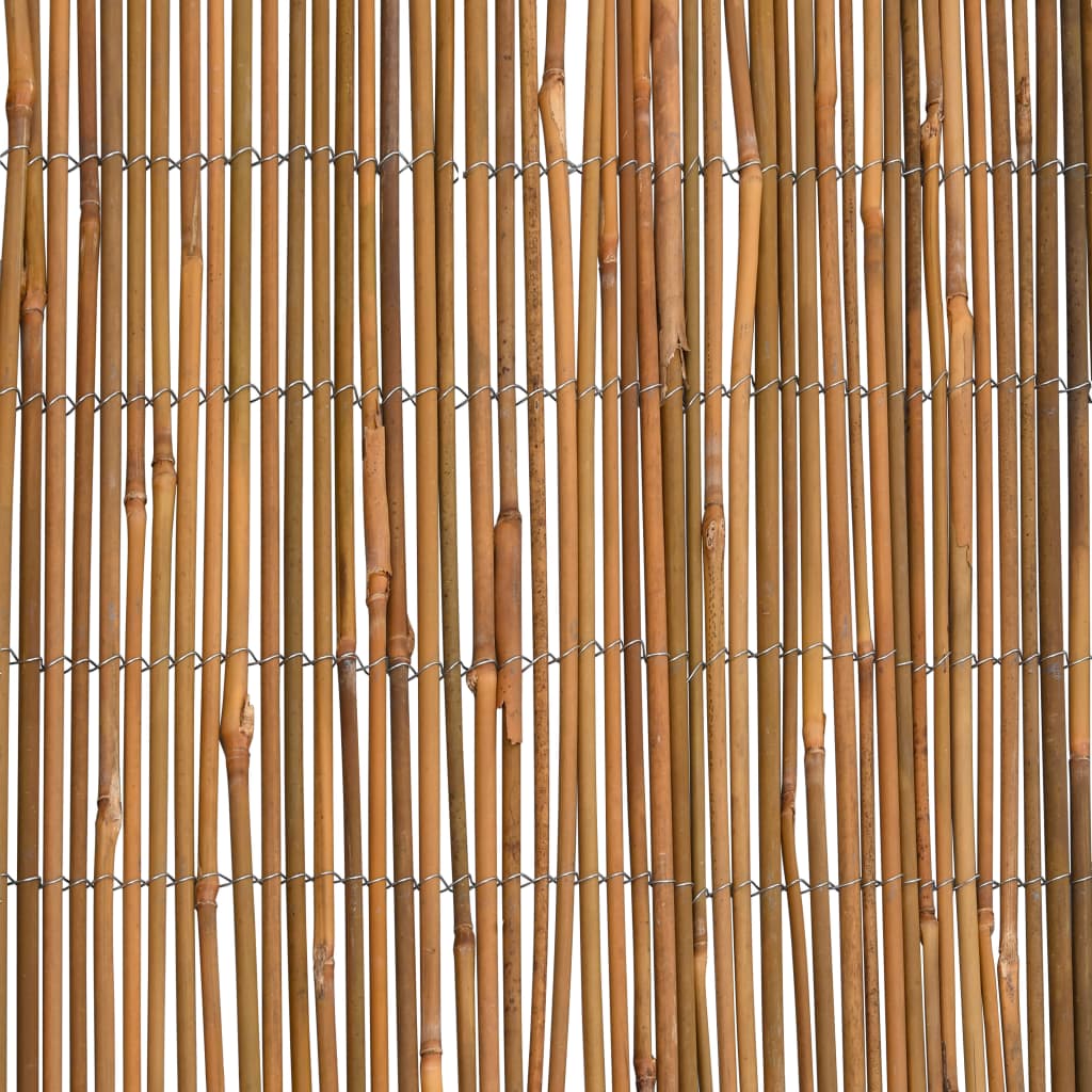 Bamboo Fence 500x100 cm - OLBRIT