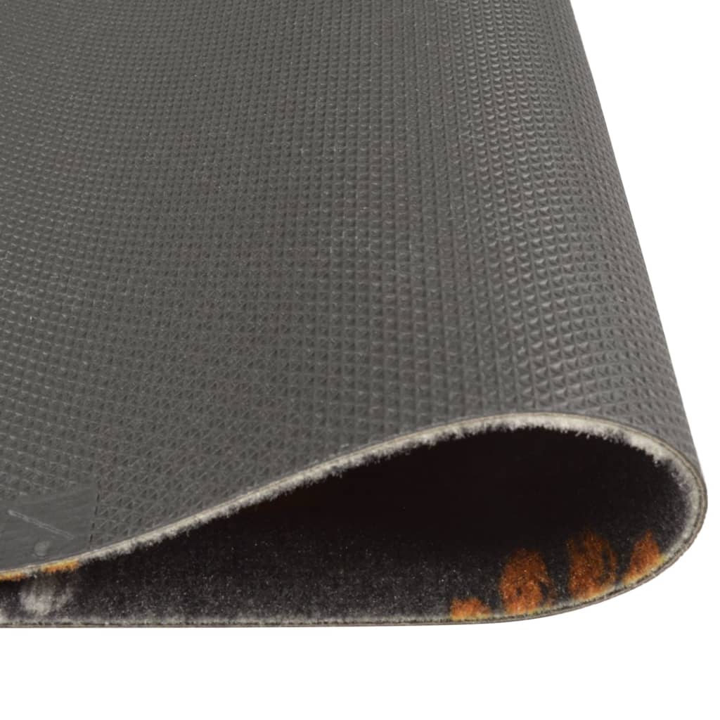 Kitchen Rug Washable Paws 60x300 cm Velvet - OLBRIT