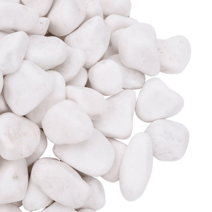 Polished Pebbles White 2-5 cm - OLBRIT